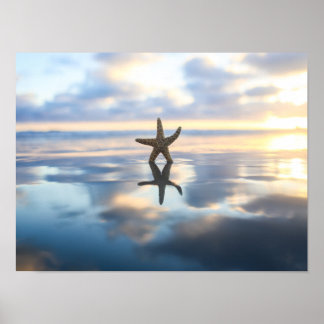 Zeester bij het strand foto poster print