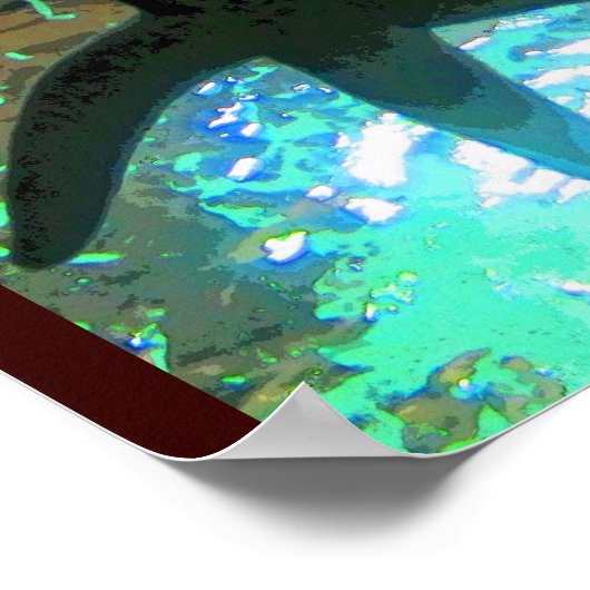 Zeester CB Poster (Hoek)