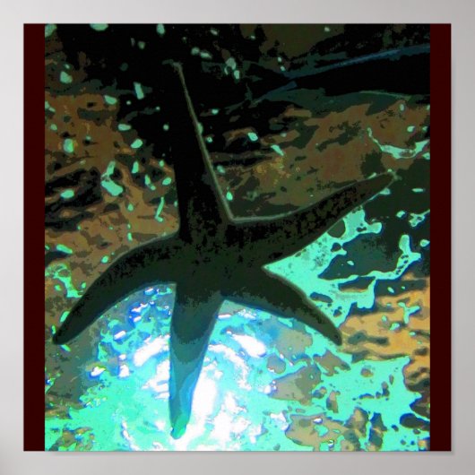 Zeester CB Poster (Voorkant)