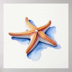 Zeester en Blauwe Silhouet Poster