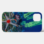 Zeester en zakpijp Case-Mate iPhone case (Achterkant (horizontaal))