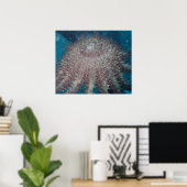 Zeester Fotografie Poster (Thuiskantoor)