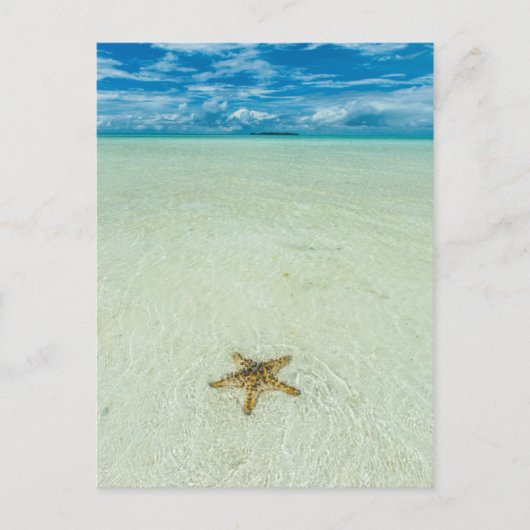Zeester in ondiep water, Palau Briefkaart (Voorkant)
