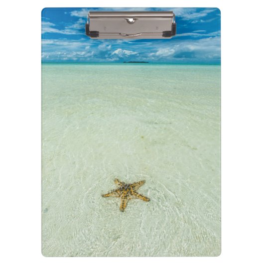 Zeester in ondiep water, Palau Klembord (Voorkant)