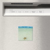 Zeester in ondiep water, Palau Magneet (Insitu (Vaatwasser))