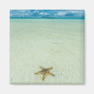Zeester in ondiep water, Palau Magneet
