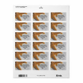 Zeester in Zand Beach Bruiloft Etiket (Full Sheet)