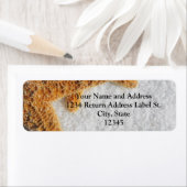 Zeester in Zand Beach Bruiloft Etiket (Insitu)