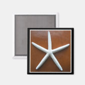 Zeester magneet (Voorkant / Achterkant)