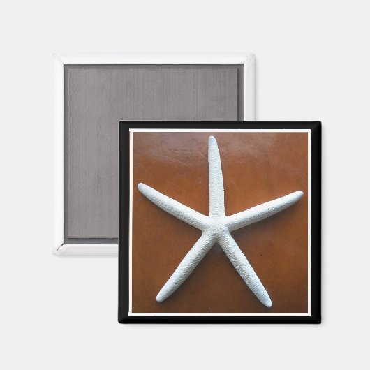 Zeester magneet (Voorkant / Achterkant)