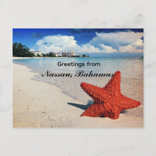 Zeester, Nassau, Bahama's Briefkaart