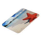 Zeester, Nassau, Bahama's Magneet (Linkerzijde)