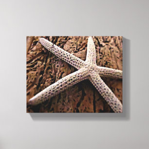 Zeester op Driftwood Canvas Afdruk