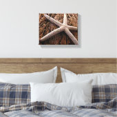 Zeester op Driftwood Canvas Afdruk (Insitu (Slaapkamer))