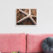 Zeester op Driftwood Canvas Afdruk (Insitu (Woonkamer))