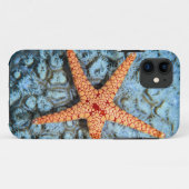 Zeester op een koraal met poliepen Case-Mate iPhone case (Achterkant (horizontaal))