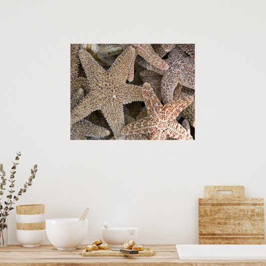 zeester overal poster (Keuken)