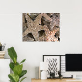 zeester overal poster (Thuiskantoor)