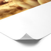 zeester poster (Hoek)