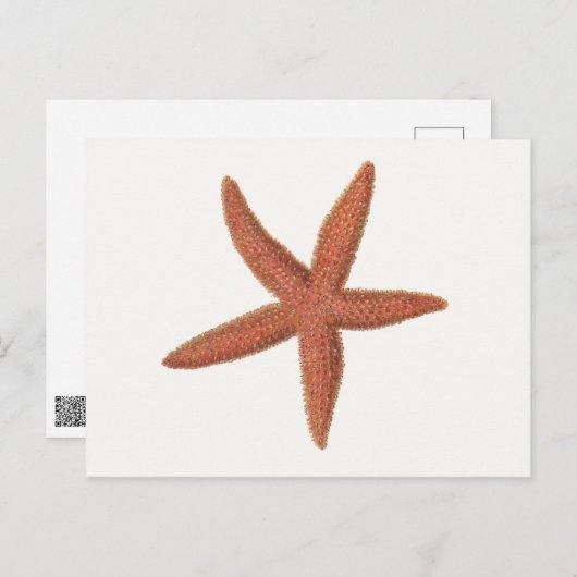 Zeester - Sherman Denton Fish Lithograph Briefkaart (Voorkant / Achterkant)