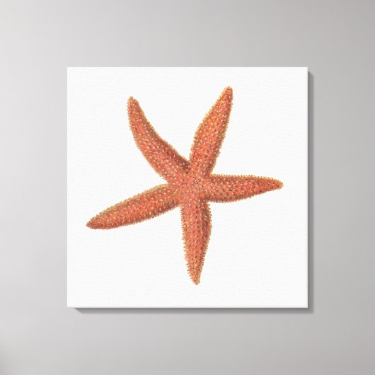 Zeester - Sherman Denton Fish Lithograph Canvas Afdruk (Voorkant)