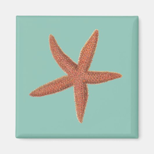 Zeester - Sherman Denton Fish Lithograph Magneet (Voorkant)