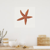 Zeester - Sherman Denton Fish Lithograph Poster (Keuken)