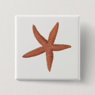 Zeester - Sherman Denton Fish Lithograph Vierkante Button 5,1 Cm