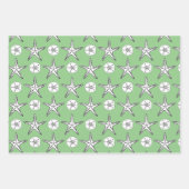 Zeester Zand Dollar Schets Patroon Groen Inpakpapier Vel (Voorkant 2)