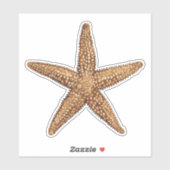 Zeester - Zee Star Sticker (Vel)