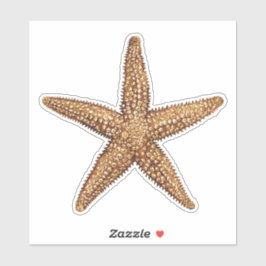 Zeester - Zee Star Sticker