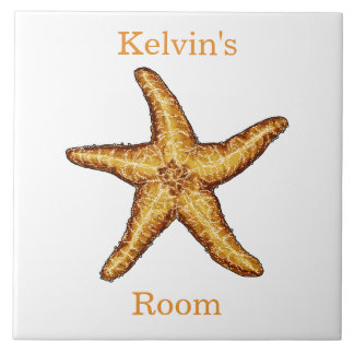 Zeesterkamer tegeltje