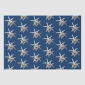 Zeesterpatroon Navyblauw Tissuepapier (Voorkant)
