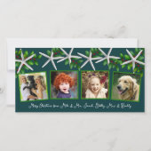 Zeesterren en hulst vier foto familie kerstkaart (Voorkant)