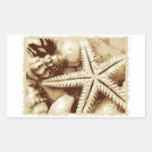 Zeesterren en Schelpen Stickers (Voorkant)