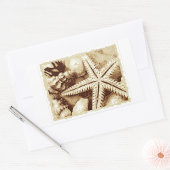 Zeesterren en Schelpen Stickers
