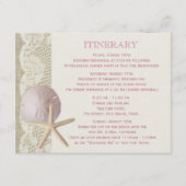 Zeesterren en Zanddollar  Beach Informatiekaartje (Voorkant)