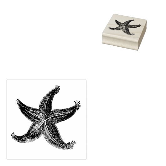 Zeesterren geëtst Zee Sterren Oceaan thema Rubberstempel (Gestempeld)