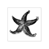 Zeesterren  geëtst Zee Sterren Oceaan thema Rubberstempel (Afrduk)