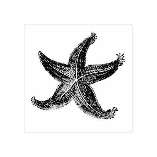 Zeesterren  geëtst Zee Sterren Oceaan thema Rubberstempel (Afrduk)