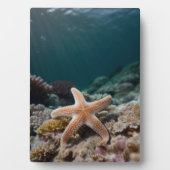 Zeesterren in de Diepe Zee Fotoplaat (voorkant)