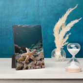 Zeesterren in de Diepe Zee Fotoplaat (Zijkant)
