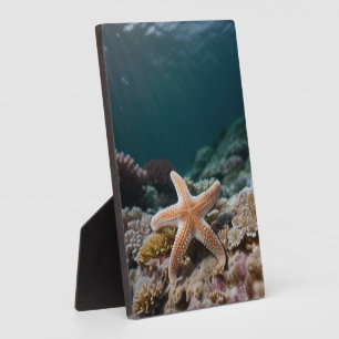Zeesterren in de Diepe Zee Fotoplaat