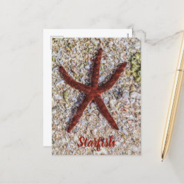 Zeesterren Oceaan  Strand Retro Souvenir Feestdagenkaart