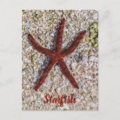 Zeesterren Oceaan Strand Retro Souvenir Feestdagenkaart (Voorkant)
