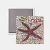 Zeesterren Oceaan Strand Retro Souvenir Magneet (Voorkant / Achterkant)