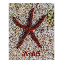 Zeesterren Oceaan  Strand Retro Souvenir Perfect Poster
