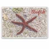 Zeesterren Oceaan  Strand Retro Souvenir Sticker (Voorkant)