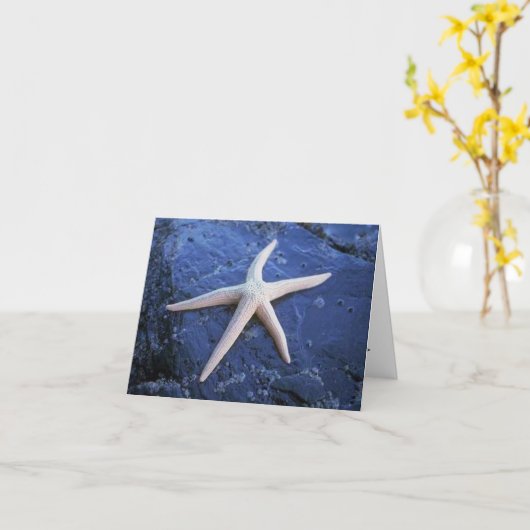 Zeesterren op lavasteen kaart (Gele Bloem)