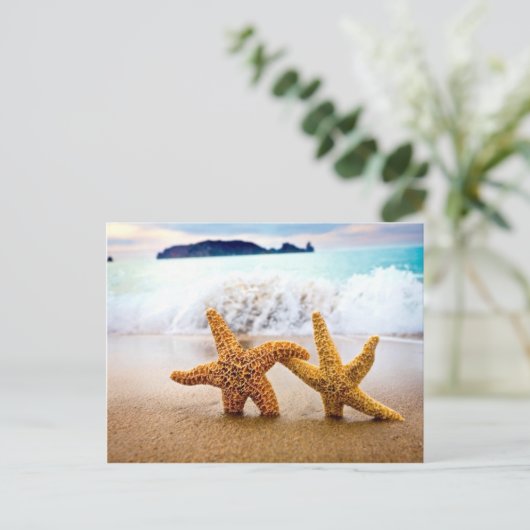 zeesterren paar briefkaart (Staand voorkant)